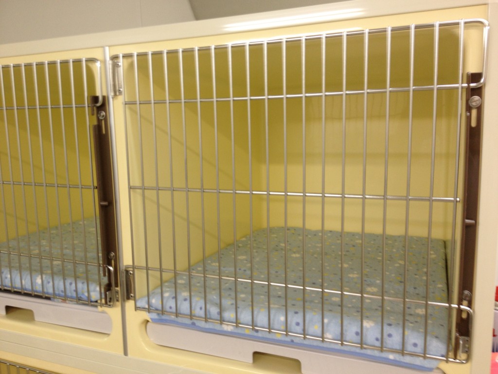 レギュラールーム